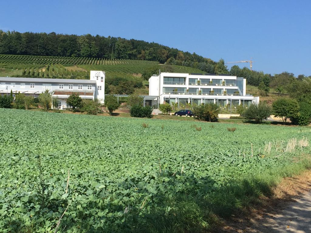 ホテル Heitlinger Hof Tiefenbach  エクステリア 写真