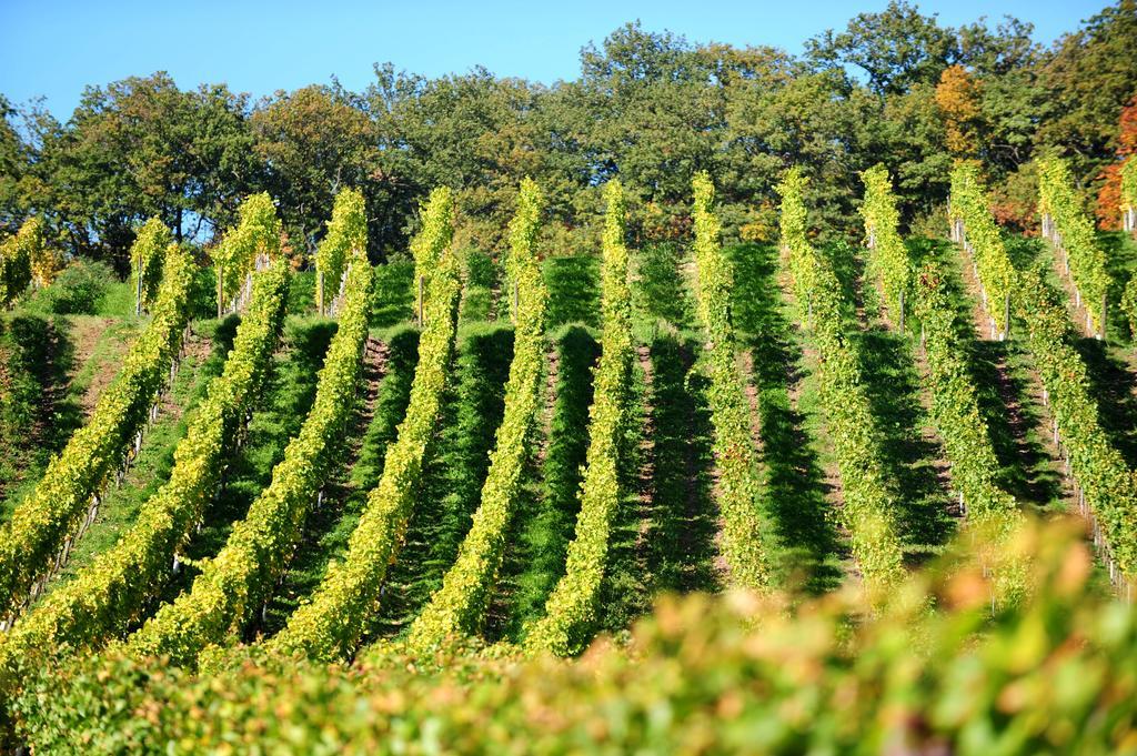 ホテル Heitlinger Hof Tiefenbach  エクステリア 写真